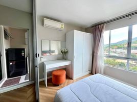 1 Bedroom Condo for rent at D Condo Kathu-Patong, Kathu