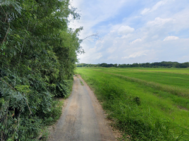  Land for sale in Ban Phraek, Phra Nakhon Si Ayutthaya, Khlong Noi, Ban Phraek