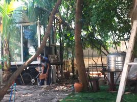 3 Schlafzimmer Villa zu verkaufen in Khlong Sam Wa, Bangkok, Bang Chan