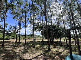  Land for sale in Phuket, Si Sunthon, Thalang, Phuket