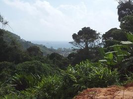  Land for sale in Phuket International Airport, Mai Khao, Sakhu