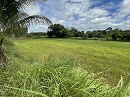  Land for sale in Phu Po, Mueang Kalasin, Phu Po