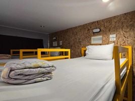 1 Schlafzimmer Appartement zu vermieten im Frutta Hostel, Patong