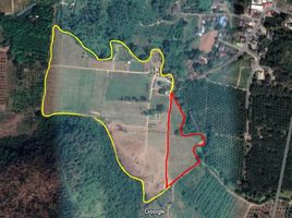  Grundstück zu verkaufen in Hua Hin, Prachuap Khiri Khan, Nong Phlap, Hua Hin