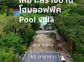 ขายที่ดิน ใน เมืองเชียงใหม่ เชียงใหม่, ช้างเผือก