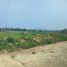  Land for sale in Doi Saket, Chiang Mai, San Pu Loei, Doi Saket