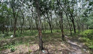 N/A Land for sale in Khuan Phang, Nakhon Si Thammarat 