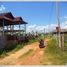 2 Schlafzimmer Haus zu verkaufen in Sisattanak, Vientiane, Sisattanak, Vientiane, Laos