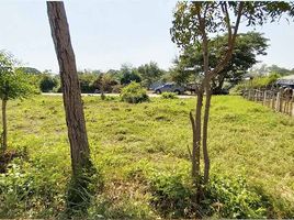  Land for sale in Kamphaeng Saen, Kamphaeng Saen, Kamphaeng Saen