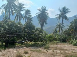  Grundstück zu verkaufen in Sam Roi Yot, Prachuap Khiri Khan, Sam Roi Yot, Sam Roi Yot