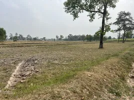  Land for sale in Prue, Prasat, Prue