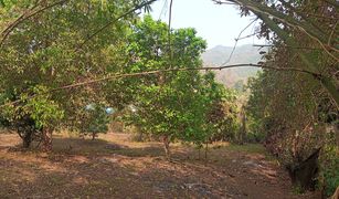 N/A Land for sale in Samoeng Nuea, Chiang Mai 