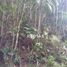  Land for sale in Teresopolis, Rio de Janeiro, Teresopolis, Teresopolis