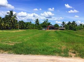  Grundstück zu verkaufen in Damnoen Saduak, Ratchaburi, Don Kruai, Damnoen Saduak