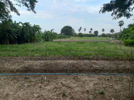  Land for sale in Thung Noi, Mueang Nakhon Pathom, Thung Noi