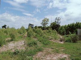  Land for sale in Tha Bunmi, Ko Chan, Tha Bunmi