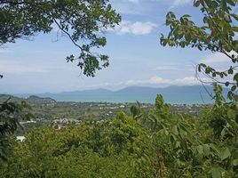  Grundstück zu verkaufen in Koh Samui, Surat Thani, Bo Phut