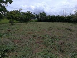  Grundstück zu verkaufen in Chame, Panama Oeste, Nueva Gorgona