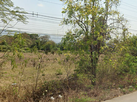  Grundstück zu verkaufen in Mueang Lampang, Lampang, Phichai, Mueang Lampang, Lampang