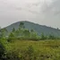  Land for sale in Prachuap Khiri Khan, Sam Roi Yot, Sam Roi Yot, Prachuap Khiri Khan