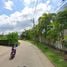  Land for sale in Ma Doo Bua, Thep Krasattri, Thep Krasattri