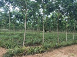  Land for sale in Rayong, Maenam Khu, Pluak Daeng, Rayong