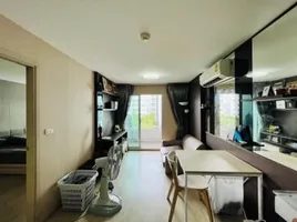 1 Bedroom Condo for rent at Elio Del Ray, Bang Chak, Phra Khanong, Bangkok