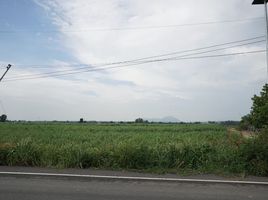  Земельный участок for sale in Таиланд, Wang Muang, Wang Muang, Saraburi, Таиланд