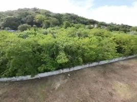  Land for sale in Rawai, Phuket Town, Rawai