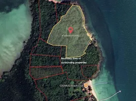  Grundstück zu verkaufen in Pa Khlok, Phuket, Pa Khlok, Thalang, Phuket