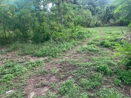  Land for sale in Phangnga, Ko Yao Noi, Ko Yao, Phangnga