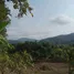  Grundstück zu verkaufen in San Sai, Chiang Mai, San Sai, Phrao, Chiang Mai