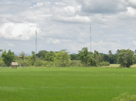  Grundstück zu verkaufen in Mueang Lamphun, Lamphun, Ton Thong, Mueang Lamphun