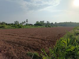  Grundstück zu verkaufen in Mueang Phitsanulok, Phitsanulok, Bueng Phra