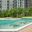 1 Bedroom Apartment for rent at The Parkland Phetkasem 56, Bang Wa