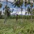  Land for sale in Maenam, Koh Samui, Maenam