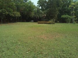  Land for sale in Dan Makham Tia, Dan Makham Tia, Dan Makham Tia