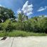  Land for sale in Thawi Watthana, Bangkok, Thawi Watthana, Thawi Watthana