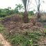  Land for sale in Wasa Amenfi East Western, Wasa Amenfi East, Western