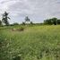  Land for sale in Lam Toiting, Nong Chok, Lam Toiting