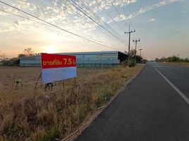  Grundstück zu verkaufen in Loeng Nok Tha, Yasothon, Sam Yaek, Loeng Nok Tha