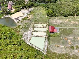  Land for sale in Thep Krasattri, Thalang, Thep Krasattri