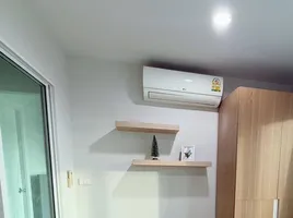 1 Bedroom Condo for rent at Regent Orchid Sukhumvit 101, Bang Chak, Phra Khanong
