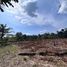  Land for sale in Brazil, Barcelos, Amazonas, Brazil