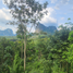 Grundstück zu verkaufen in Nong Thale, Krabi, Nong Thale