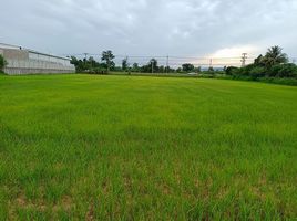  Land for sale in Yasothon, Sam Yaek, Loeng Nok Tha, Yasothon