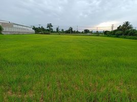  Land for sale in Loeng Nok Tha, Yasothon, Sam Yaek, Loeng Nok Tha