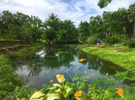  Grundstück zu verkaufen in Thong Pha Phum, Kanchanaburi, Lin Thin, Thong Pha Phum, Kanchanaburi, Thailand