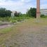  Land for sale in Mueang Nakhon Ratchasima Nakhon Ratchasima, Muen Wai, Mueang Nakhon Ratchasima, Nakhon Ratchasima