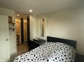 1 Schlafzimmer Wohnung zu vermieten im The Link Vano Sukhumvit 64, Bang Chak, Phra Khanong, Bangkok